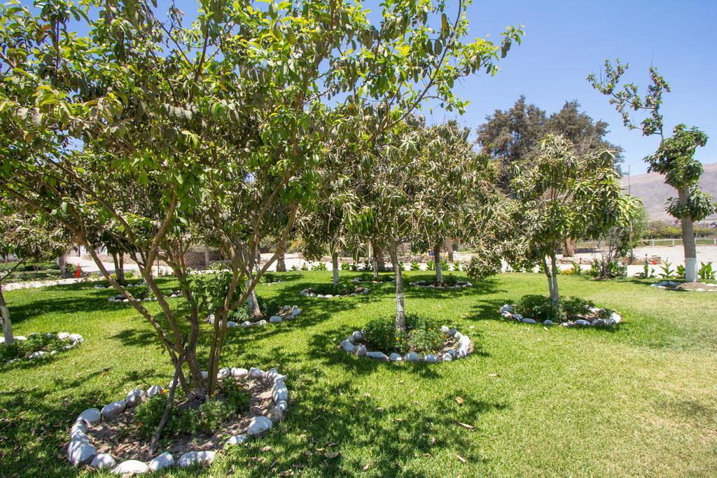 Hotel Fundo San Rafael نازكا المظهر الخارجي الصورة